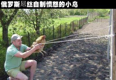 牛人自制：ANGRY BIRDS