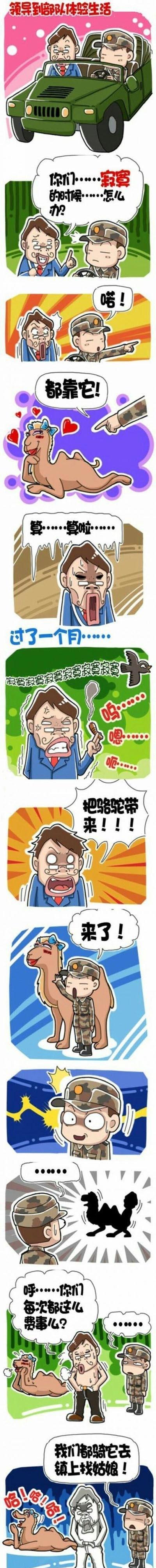 领导悲剧了