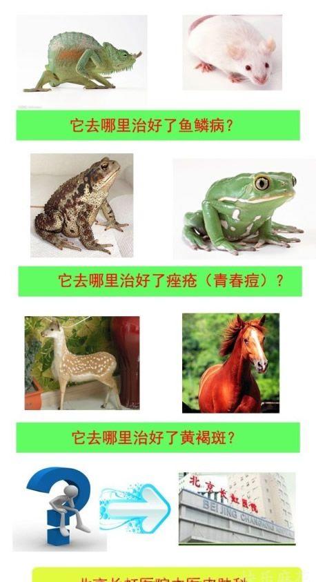 超级牛逼的医院广告