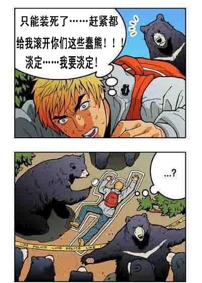 遇到熊的时候一定要撞死