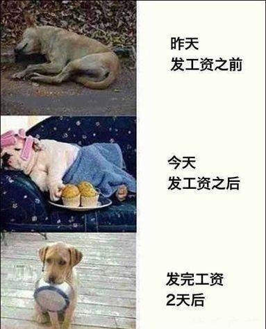 发工资这件事