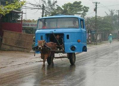 谁说俺们这块没汽车