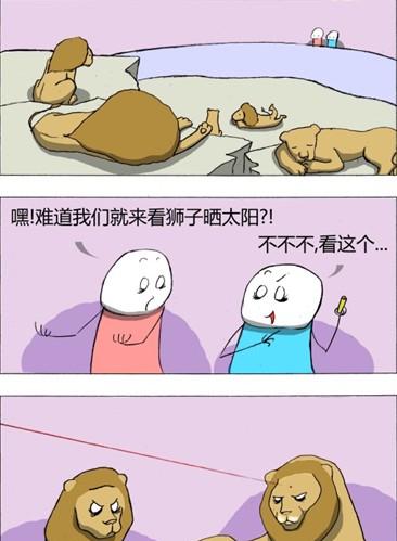 养猫的我知道后面会发生什么